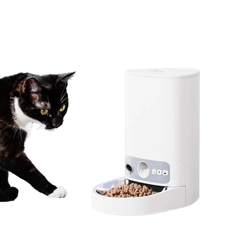 # Hot Remote Control Smart Wifi Programmable Pet Feeder Dual Power Supply For Indoor Or Outdoor Pet New Supplies